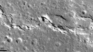 moon full img 1 1771496729025