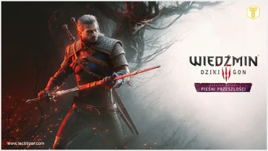 The Witcher 3 Wild Hunt Songs of the Past Artwork